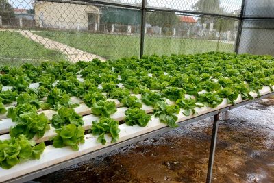 Thầy, trò hào hứng trải nghiệm “Vườn Sinh học”